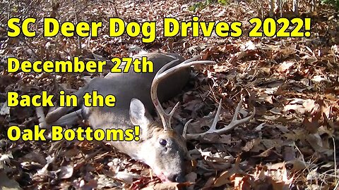 SC Deer Dog Drives 2022! 12-27 The Oak Bottoms!