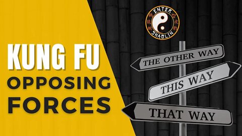 Kung Fu Training | How To Deal With 2 Opposing Forces | Martial Arts