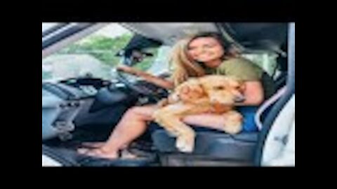 24 Year Old Dumps Her Boyfriend, Quits Her Job and Moves Into a Luxurious Van With Her Dog