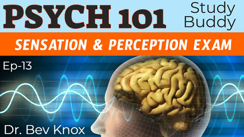 Sensation & Perception Psychology Exam Q&A - Psych 101 “Study Buddy” Series