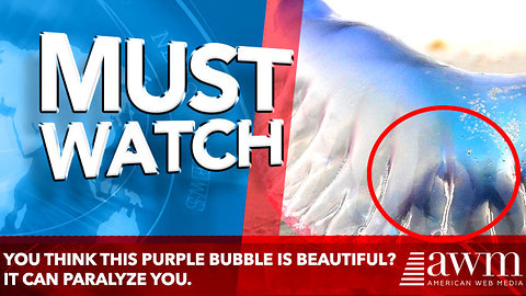 You Think This Purple Bubble Is Beautiful? It Can Paralyze You.