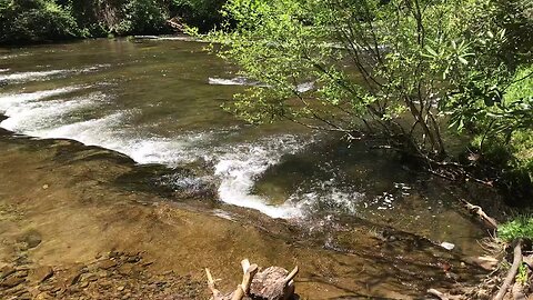 Abrams Falls creek