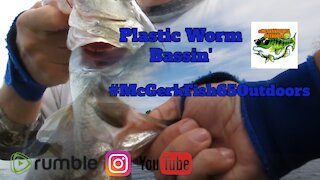 Plastic Worm for BASS FISHIN'!!