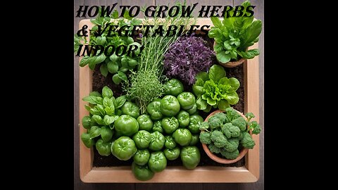 How to Grow Herbs & Vegetables Indoor! (beginners tips)