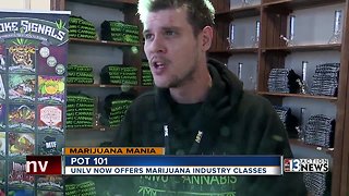 Marijuana course at UNLV prepares students for cannabis careers