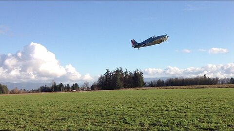 Parkzone F4F Wildcat Parkflyer