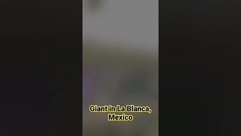 Giant caught on Camera in La Blanca, Mexico #fyp #nightgod333