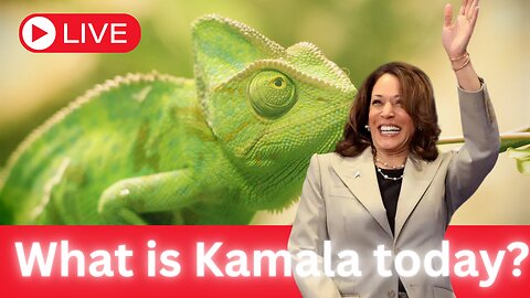 Vice President Kamala Harris Identity Crisis: Indian or Black?