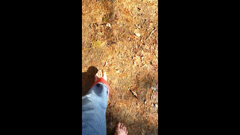Barefoot hike February 27,2021 part 4