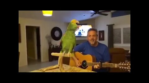 Viktor Potseluev's Parrot