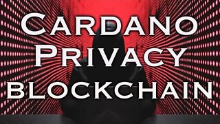 Cardano Creates Privacy Chain And Token