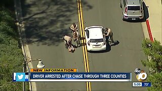 Driver arrested after three-county chase