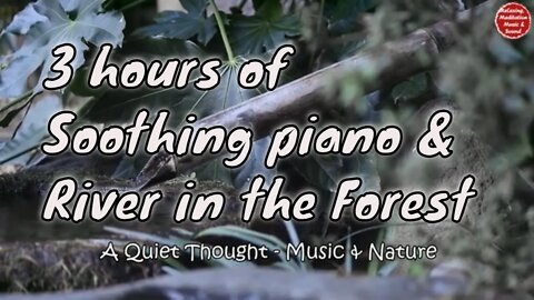Soothing music with piano, river and forest sound for 3 hours, music for focusing & meditation