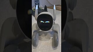 Loona Robot Farting 💨 #Shorts #robot #chatgpt #AI #smarthomegadgets #Tech #robotics #funny