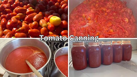 The UNIQUE way we make TOMATO SAUCE | Step by step tutorial