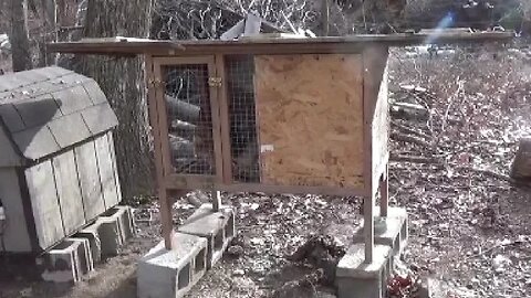 Making A Chicken Coop From An Old Rabbit Hutch