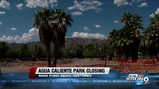 Pima County closing Agua Caliente park