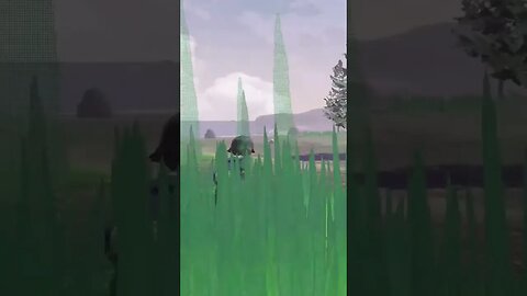 Shiny Geodude in Pokémon Legends Arceus!!