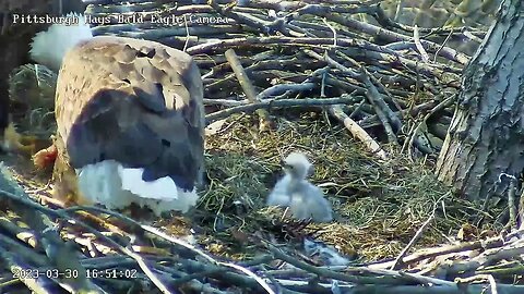 Hays Eagles Dad and Mom Pantry Wars 3.30.23 16:50