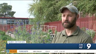 Growing interest in Tucson community gardens