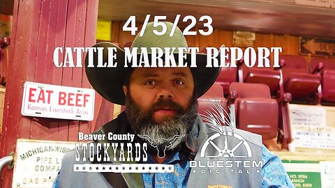 4/5/23 Beaver County Stockyards Cattle Market Report