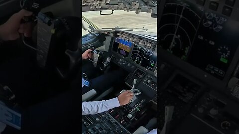 🇦🇪 Dubai on 737MAX