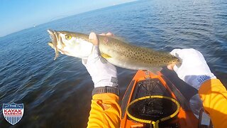 Throwing Artificials Trying To Catch BIG Fish - Kayak Fishing Cockroach Bay, FL