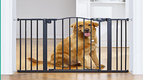 InnoTruth Wide Baby Gate for Dogs, Auto Close Pet