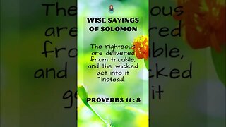 Wise Sayings of Solomon | Proverbs 11:8