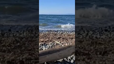 relaxing waves at Qualicum Beach #rela #nature