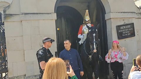 3 tourist holds the reins only one gets told not to touch by the police #horseguardsparade