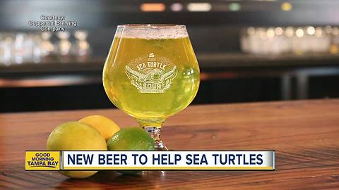 Sea Turtle Sour: Local new beer to help save endangered sea turtles