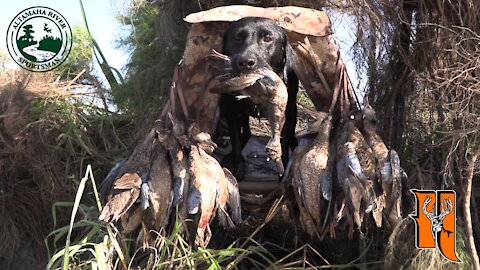 Season 3, Ep. 9: Blue Wing | Altamaha River Sportsman