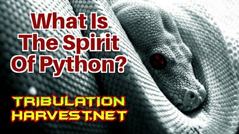 What Is The Spirit Of Python???