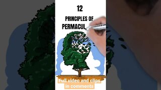 Permaculture 1st principle #naturelovers #garden #permaculture #organicfarming
