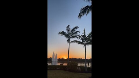 Sunrise in Paradise 2/26/2022 Live Stream Clip- #swfl #sunrise