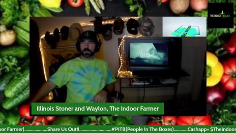 Tie Die Tuesday Vibes With Waylon, The Indoor Farmer