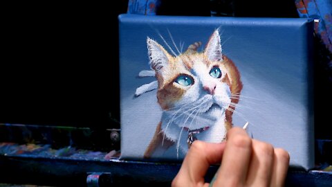 Acrylic Pet Portrait of an Orange Cat - Time-Lapse - Artist Timothy Stanford