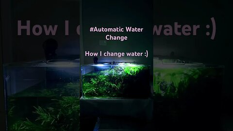 Nature aquarium therapy #plantbased #plants #plantedtank #plantedtanks #plantedtanksforever #co2