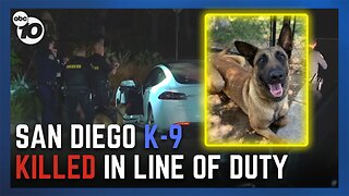 Man who shot K-9 to death killed by police during standoff at Mesa College