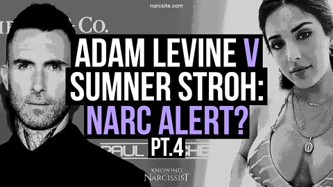 Adam Levine v Sumner Stroh : Narc Alert? Part 4