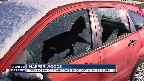 At least 24 vehicles in Harper Woods damaged by BB guns overnight