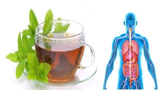 Drinking peppermint tea daily provides incredible health benefits