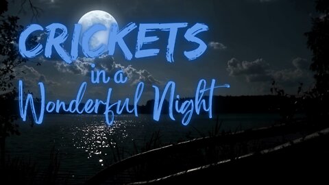Crickets in a Wonderful Night | Crickets at Night | Ambient Sound | What Else Is There?