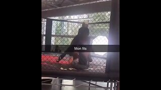 Knocked Out While Sparring