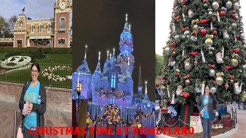 The Disneyland Christmas Vlog