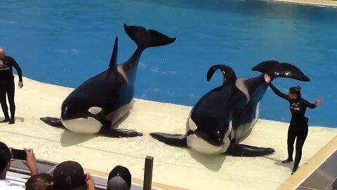 SeaWorld San Diego