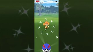 Shiny Compilation