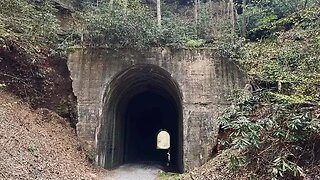 Oh, The Things You See When Walking The Guest River Gorge Trail In Coeburn, Virginia