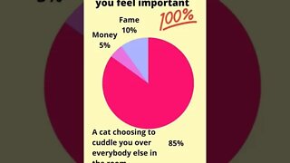 Cat people understand this 😹🐈🐾 #cats #catsitter #truth